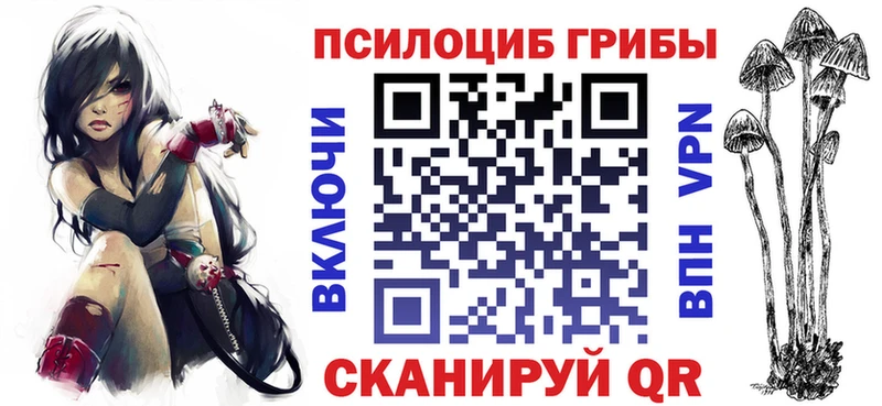 Купить закладки  Камешково  Галлюциногенные грибы прущие грибы 